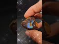 Yowah Boulderopal Opal Australianopal Gemstone Gem Mineral Natural Fyp Fypviral Yowah Boulderopal Opal Australianopal Gemstone Gem Mineral Natural Fyp Fypviral