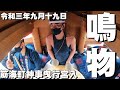 【鳴物特集】令和三年九月十九日岸和田だんじり祭り 筋海町青年團鳴物目線