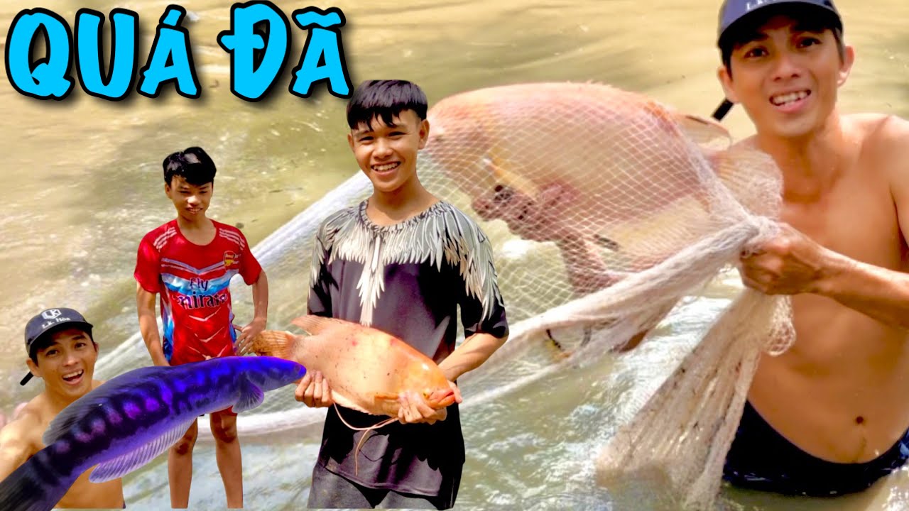 Review Cá Cảnh Nhà Fake|ATK