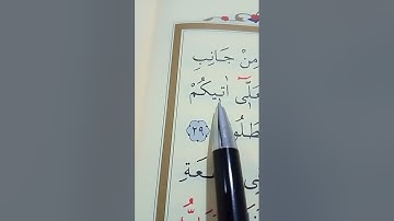 سورة القصص الأية 29 إلى 30 القارئ سعد الغامدي