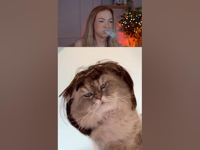 Try Not To Laugh Challenge 640
