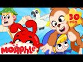 Morphle's Monkey Madness - Jungle Train | Mila and Morphle | Cartoons for Kids | @Morphle TV