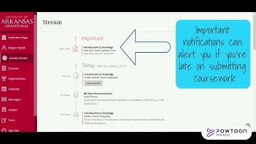 BlackBoard Navigation Tutorial