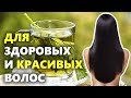 Крапива для здоровья и красоты волос | Как сделать отвар крапивы для волос