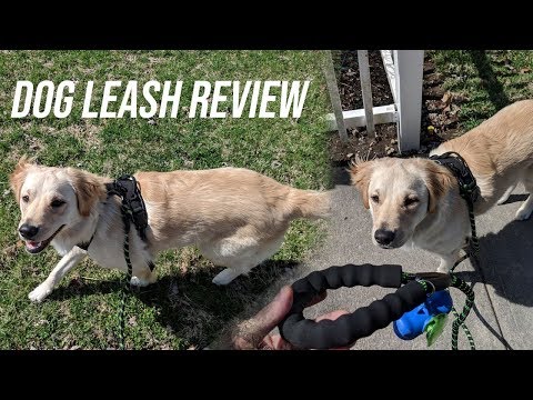 best-dog-leash-|-iyoshop-dog-leash-pet-rope-padded-handle-dog-leash-review