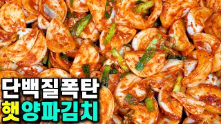 💚무깍두기 보다 맛있는 햇양파김치/ ○○이 들어가 물이 안 생겨요/ 단백질폭탄 감칠맛 폭발 아삭 절묘한 맛 완전꿀맛korean food Korea Onion Kimchi