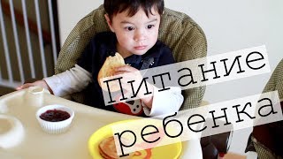 Питание и режим ребенка в 2 года l Tanya's Twins Питание и режим ребенка в 2 года l Tanya's Twins