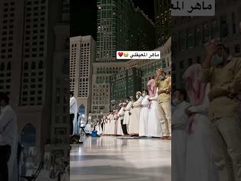 بكاء وتلاوة تفوق الوصف ماهر المعيقلي