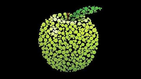 How To Use Circle Fill Script In Illustrator | Adobe Illustrator | Quasim shakruwala