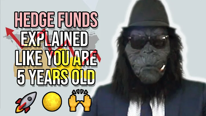 What Are HEDGE FUNDS? [explained in 3 minutes] 🙉
