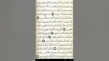 ماهر المعيقلي سورة آل عمران مكتوبة صفحة 61 مصحف المدينة المنورة جودة عالية