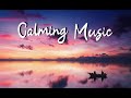 Calming Music Under Pink & Purple Skies image