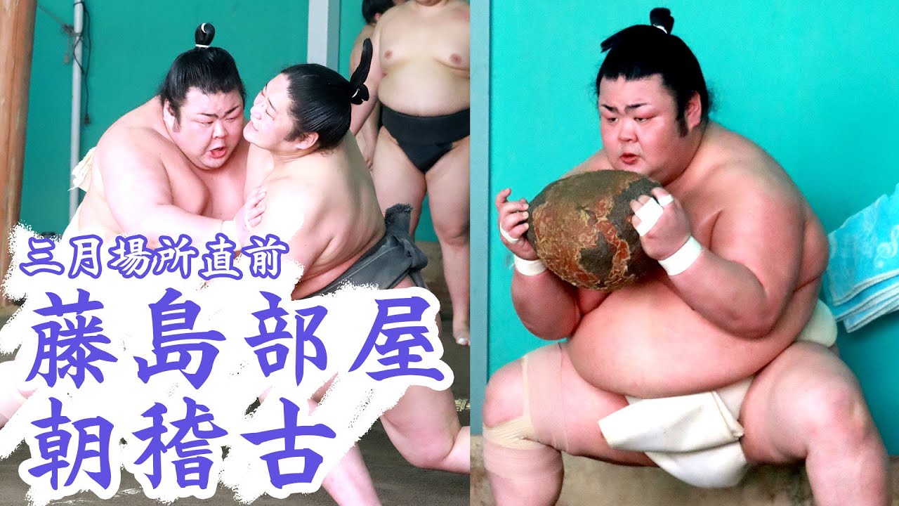 相撲部屋の朝稽古】 藤島部屋 SUMO - YouTube