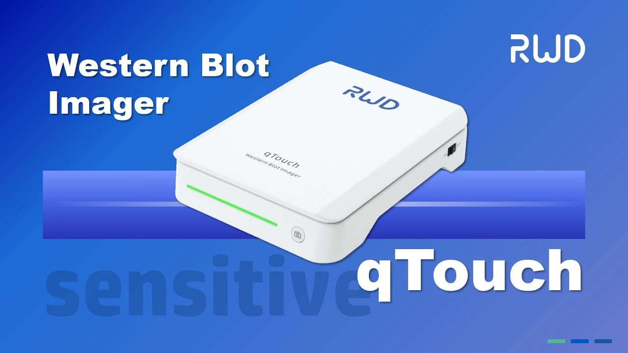 RWD New Technology——qTouch Western Blot Imager