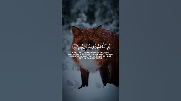 سورة لقمان تلاوة خاشعة بصوت رعد الكردي