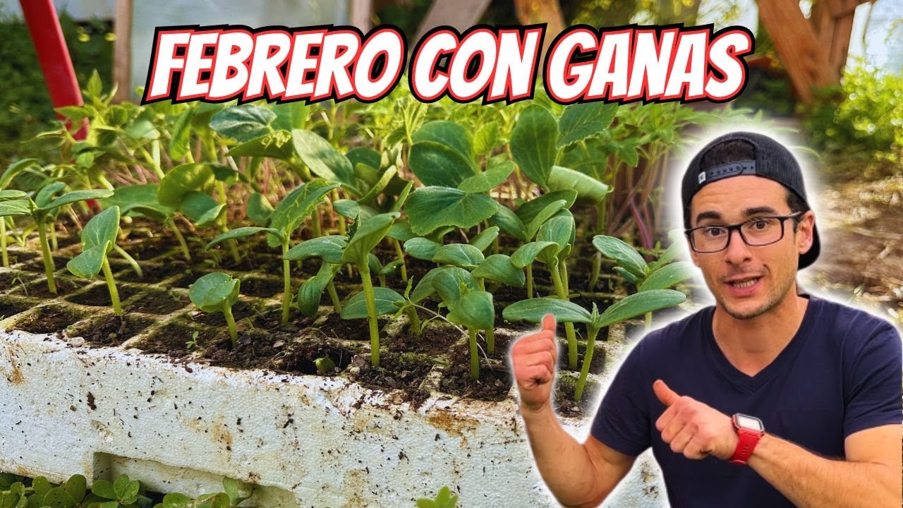 Que CULTIVOS SEMBRAR en FEBRERO | SEMILLEROS en FEBRERO