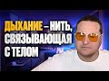 Дыхание – нить, связывающая с телом
