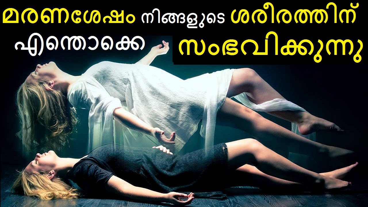 'എന്ത് സമാധാനത്തിലാണ് ഉറങ്ങുന്നത്, ഫ്രിഡ്ജൊക്കെ ഒഴുകി നടക്കുകയാണ്'