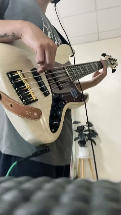 Bacchus Woodline DX5AC WBDP Limited Model #basscover #bass #Bacchus #BacchusDX5ac #bartoliniXTCT