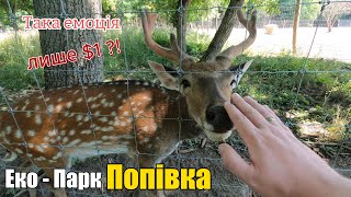 Еко - парк Попівка. Полтавщина. 30хв від Миргороду | Прогулянка | Silent walktour in animals park