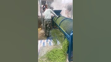 Modren Farming #shorts #agriculture #farming2024 #youngfarmers #EliteShortsUnleashed #2284