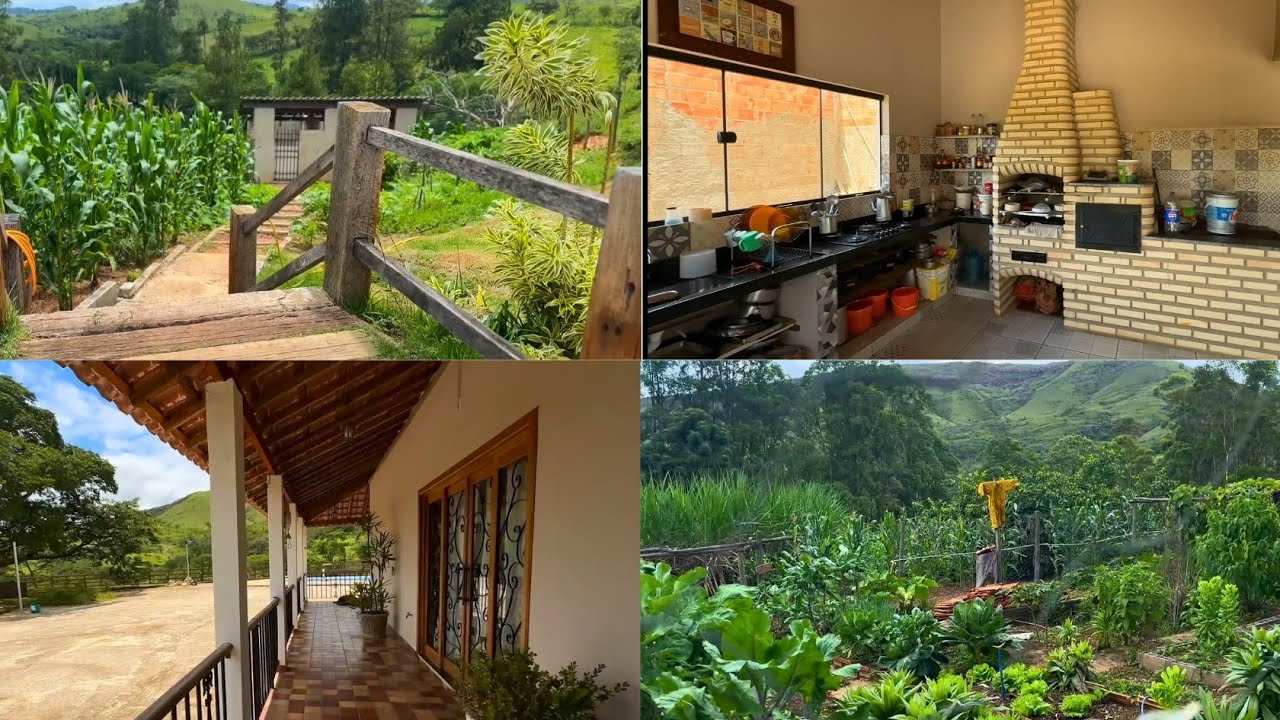 Sítio do seu João está a venda mas agora ele aceita proposta e vai com tudo dentro.