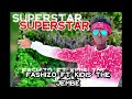 SUPERSTAR_-_FASHIZO FEAT KIDIS THE JEMBE