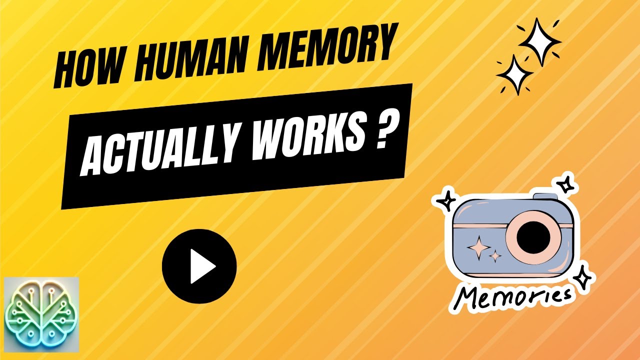 How Human Memory Works? - YouTube