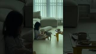Little Girl Pushes a Table to Hug Her Dog