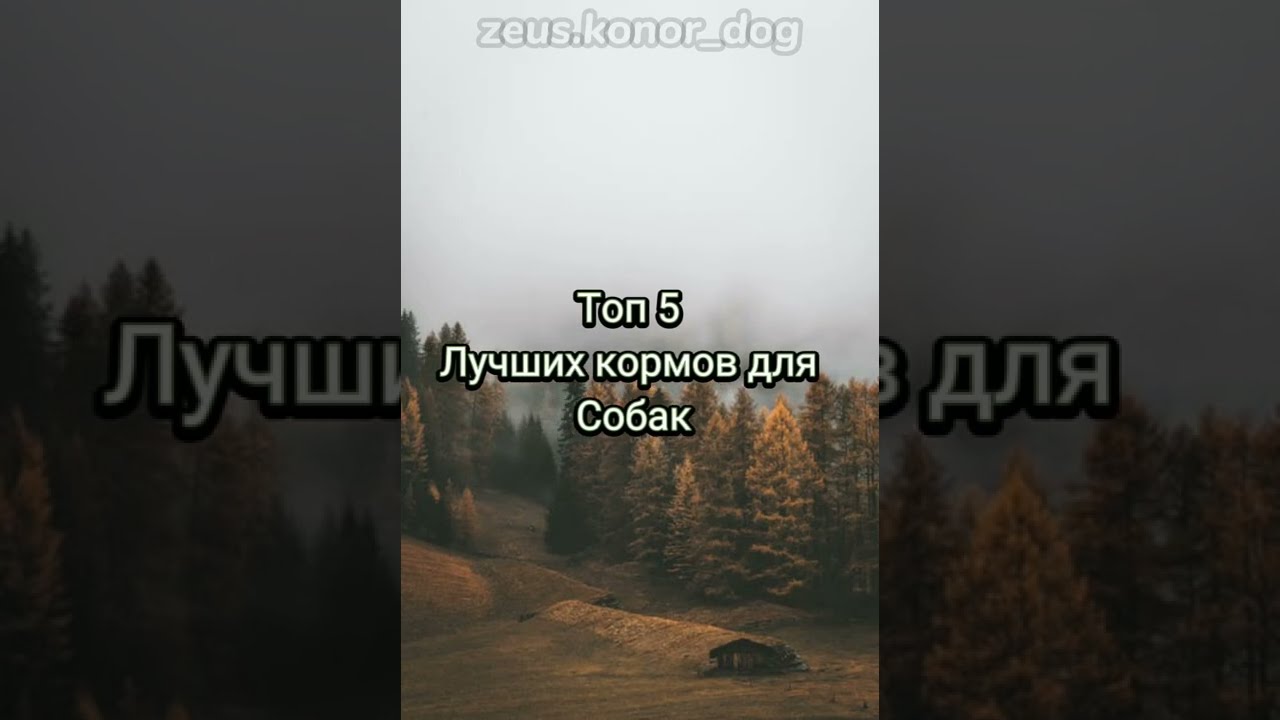 Royal Canin Light для собак мелких пород.