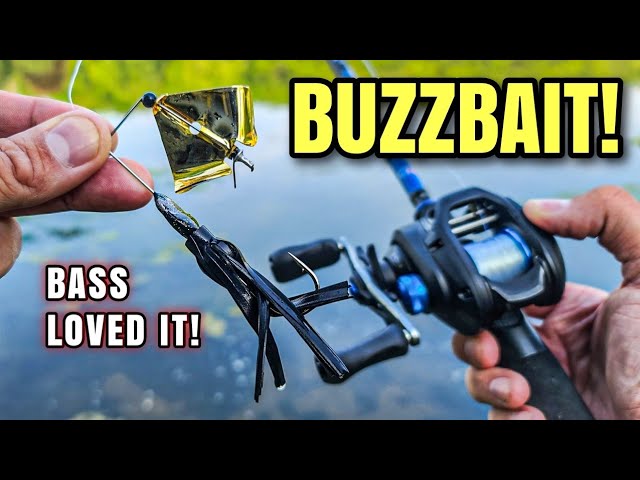 Flip Shot Rig for Bass  When to Fish and Key Tackle 