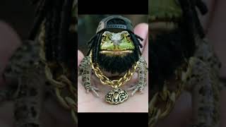 “He chose violence 🐸” #frogs#nature#hiphop#caughtoncamera#unexpected.