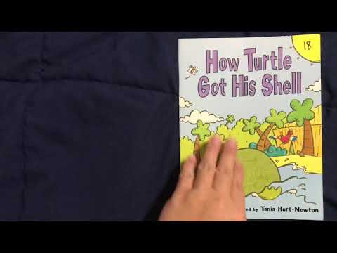 STORYTIME: How the Turtle Got His Shell by Susan Akass