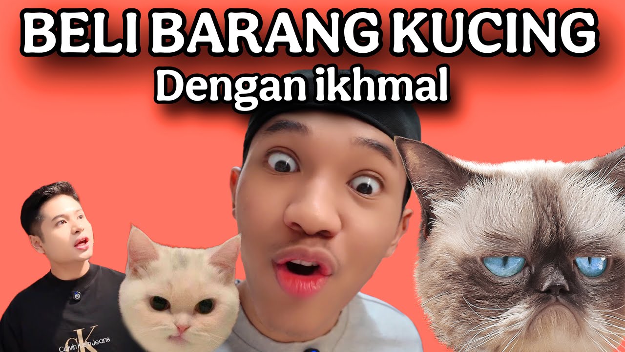 BELI BARANG KUCING DENGAN IKHMAL 😨🤩