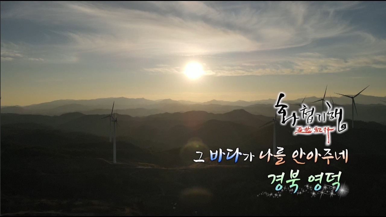 [TJB 화첩기행] 그 바다가 나를 안아주네 - 경북 영덕