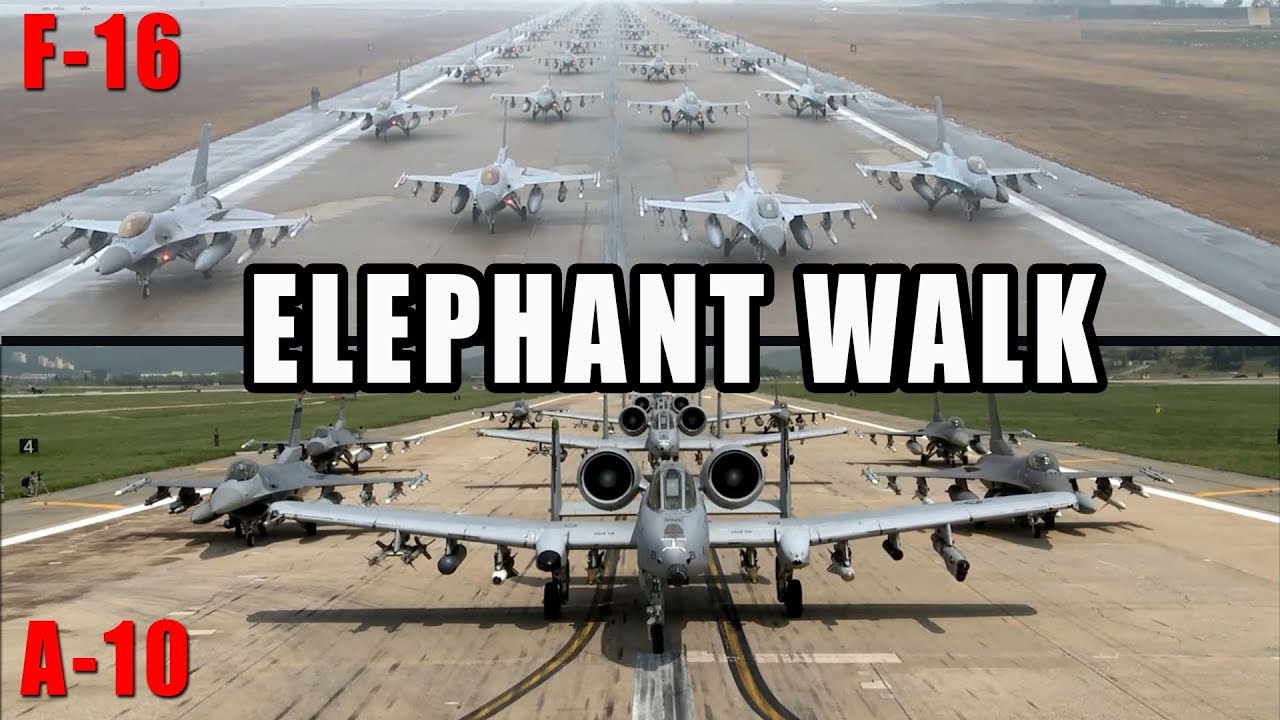 Elephant Walk