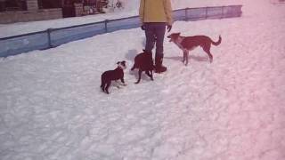 MVI_2454.AVI