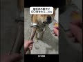 薬拒否の愛犬がある物を見た瞬間…