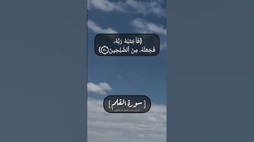 سورة القلم الآية ٤٨ الى ٥٢ بصوت الشيخ محمد صديق المنشاوي