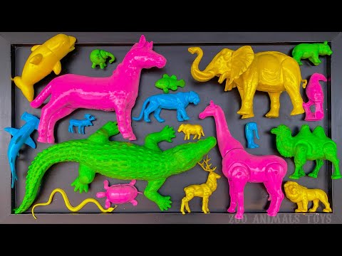 Washing animals elephant, crocodile, fish, giraffe, zebra, lion, birds, deer, camel