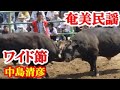 ワイド節 中島清彦 奄美民謡 奄美シマ amami【字幕】