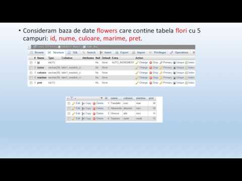 13 CodeIgniter 3 records view 3
