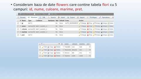 13 CodeIgniter 3 records view 3