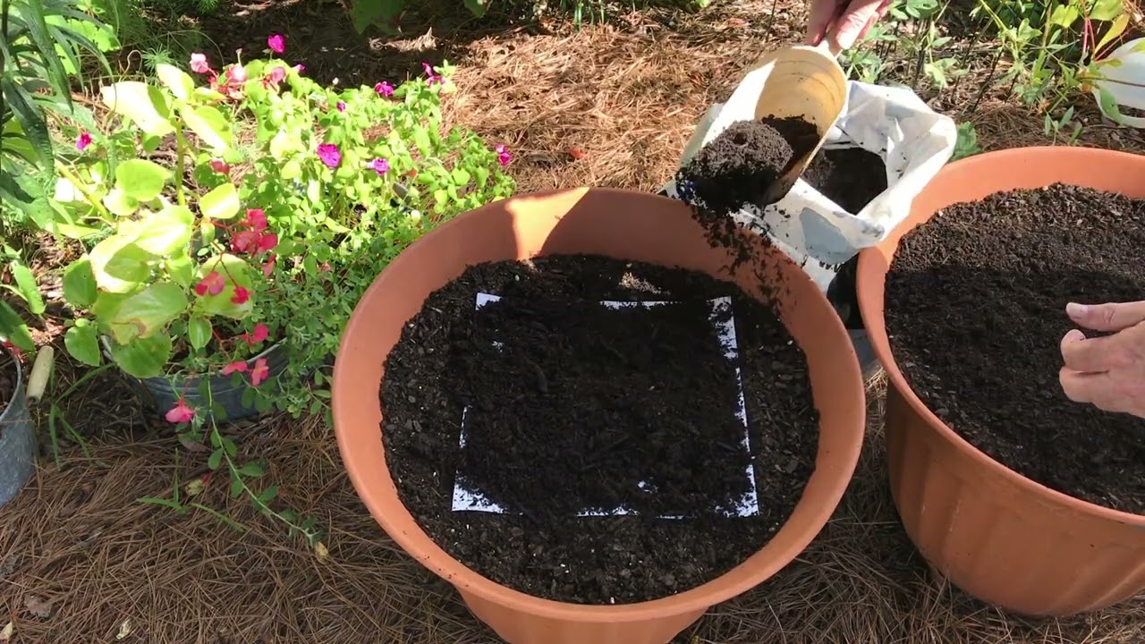 Planting Seed Mats YouTube