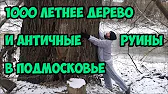 Председатель СНТ