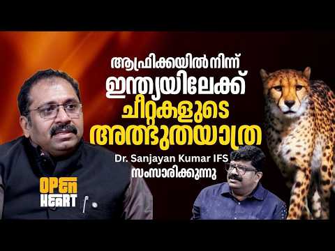 Catching and bringing cheetahs to India wasn't easy; a Malayali from Project Cheetah explains