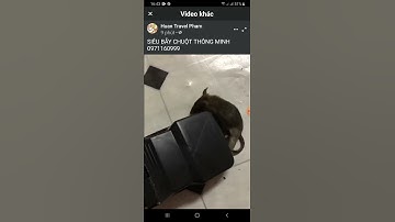 Siêu bẫy chuột thông minh, kẹp bẫy chuột