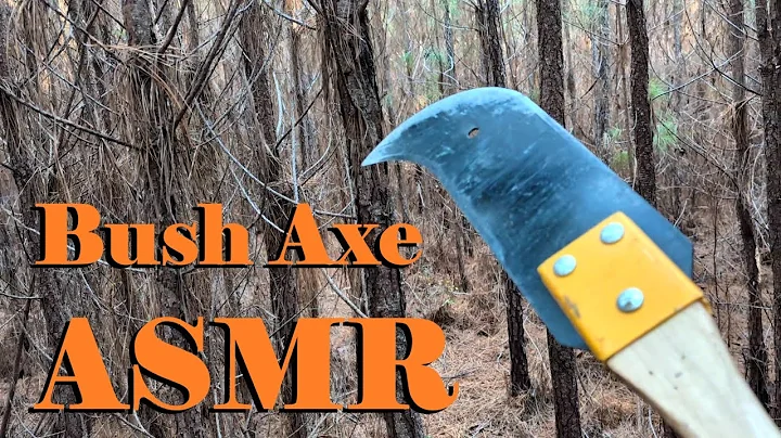 What's Inside A Pine Thicket?