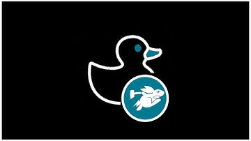 USB Rubber Ducky and Bash Bunny Payload Development