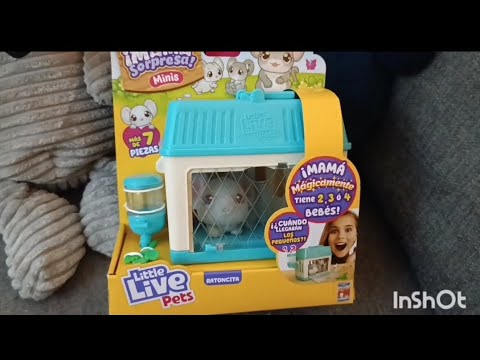 Mamá sorpresa! minis